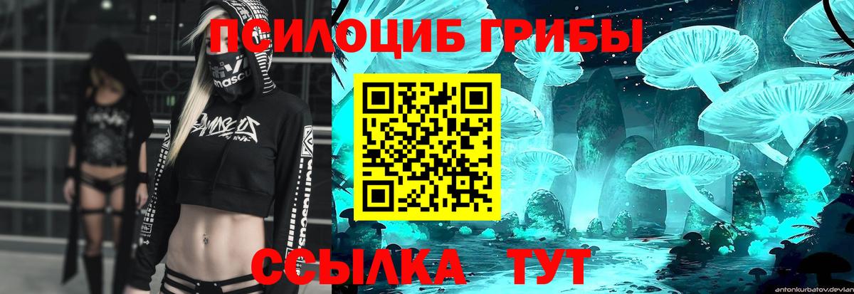 Галлюциногенные грибы GOLDEN TEACHER  Вход с VPN  Сочи 