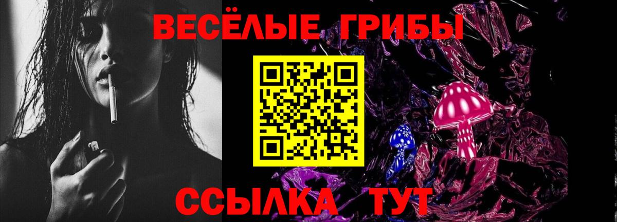 Псилоцибиновые грибы Psilocybine cubensis Сочи